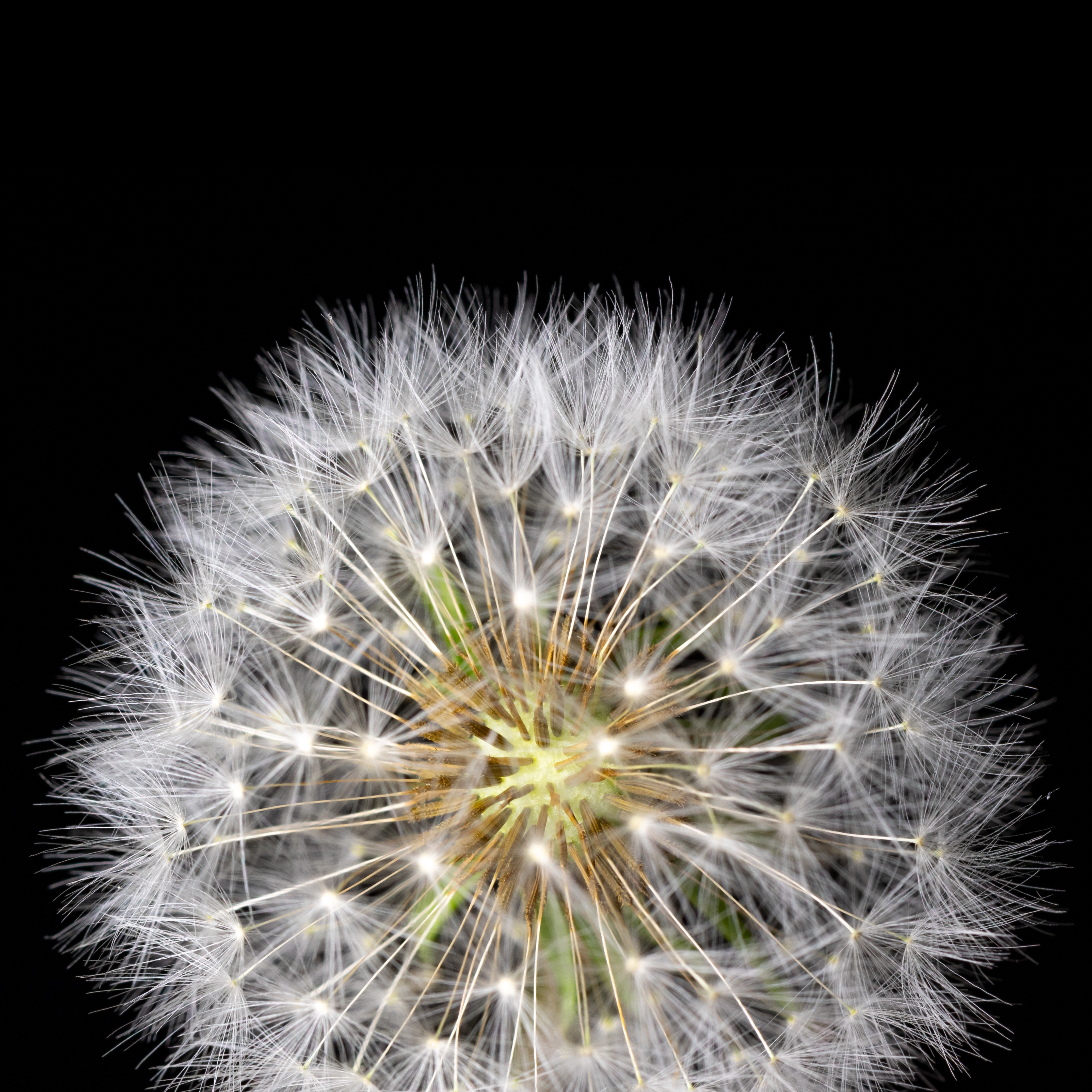 Alt text immagine carosello 4